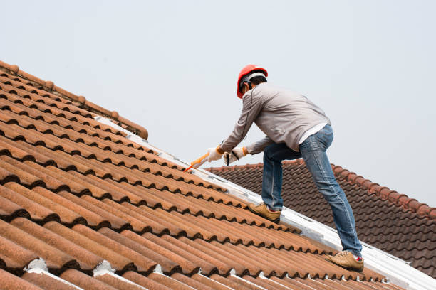 Best Roof Insulation Installation  in Fern Prairie, WA