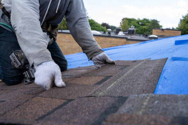Best Roof Installation  in Fern Prairie, WA