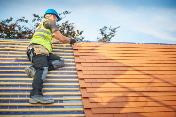 Best Asphalt Shingle Roofing  in Fern Prairie, WA